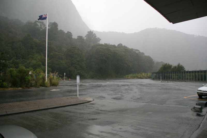 Nieuw-Zeeland 2011 - 1685